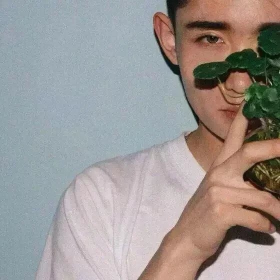 心灵的净土