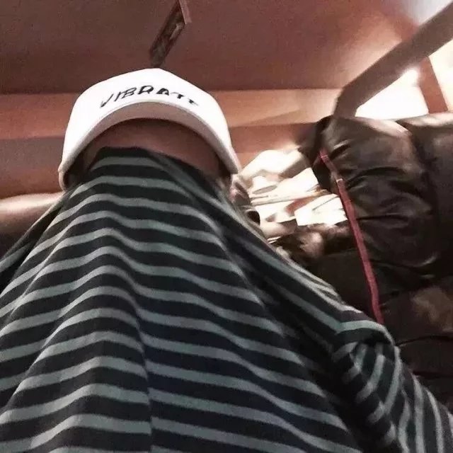 渺小的仓鼠