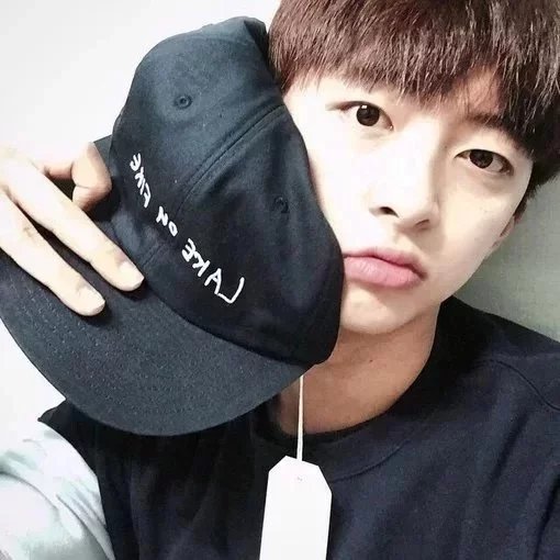 Phylibaek