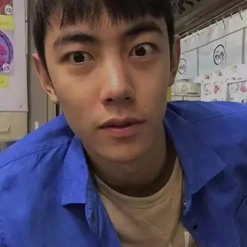 埃及小毛驴