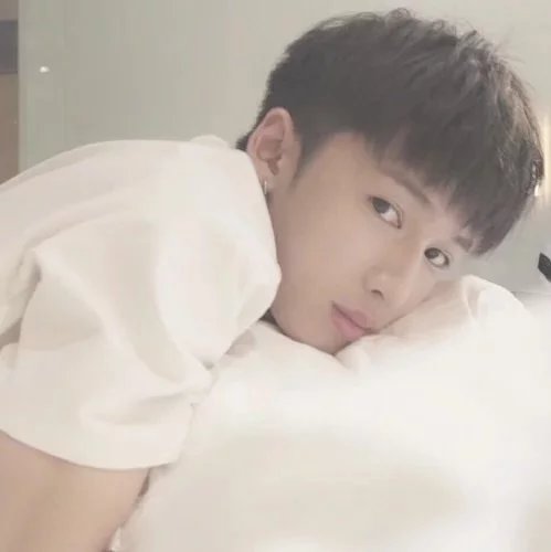 不想长大的白猫