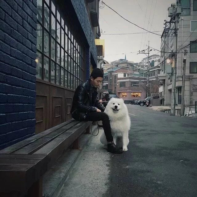 明年今日