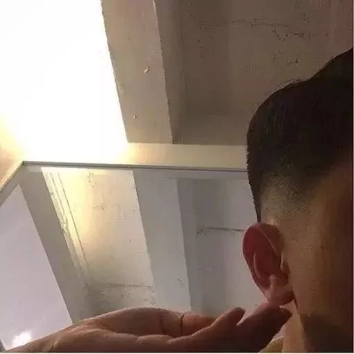 52mju丽君
