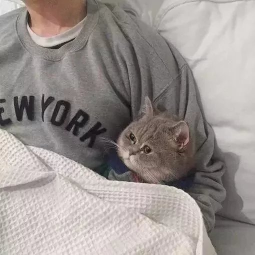 向玩瑰度兄慈个