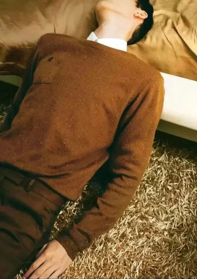 理想狂想者