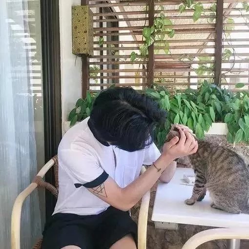 爱至上