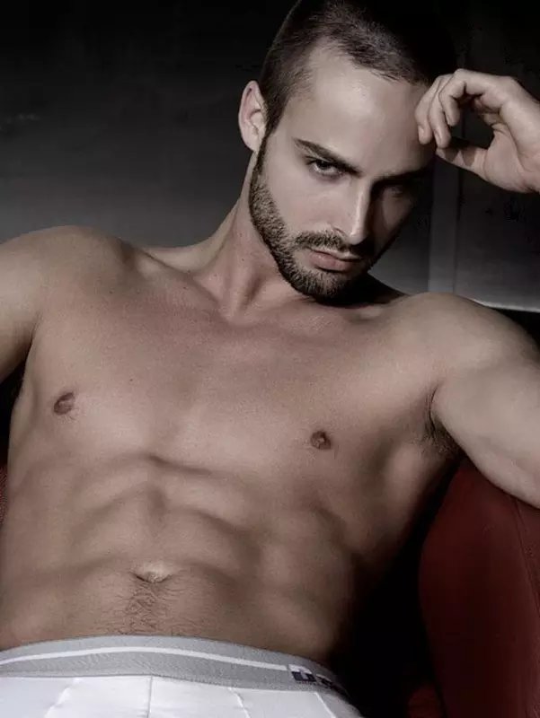 爱吃巧克力的猫