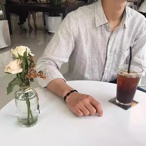 阳光与猫更相配