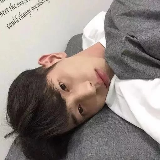 数码宝贝