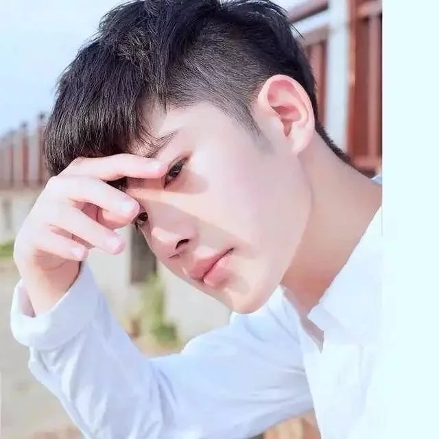 枝绿云胡树的