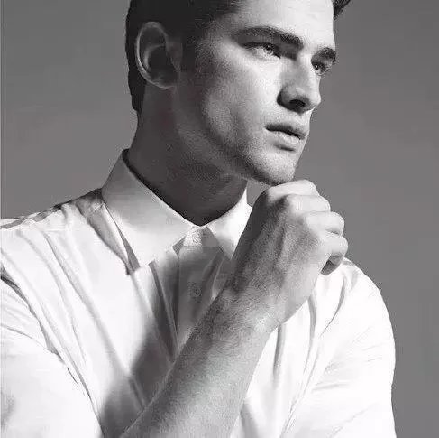 深山成精野豪猪