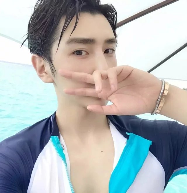 尾翼