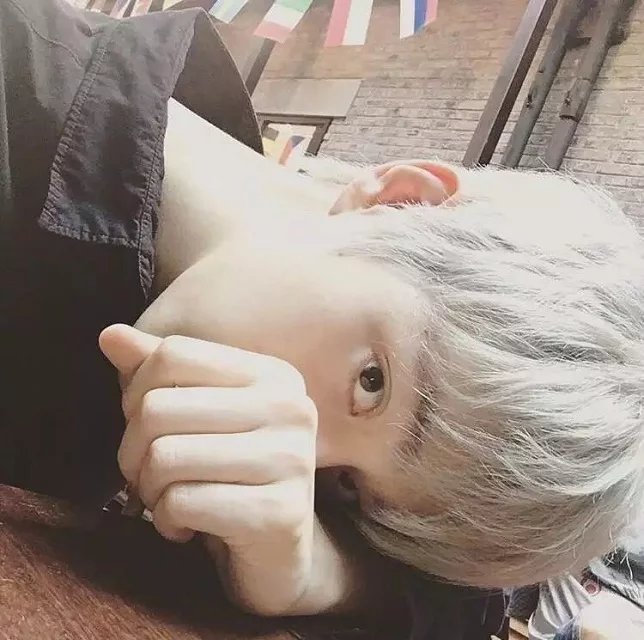 新页