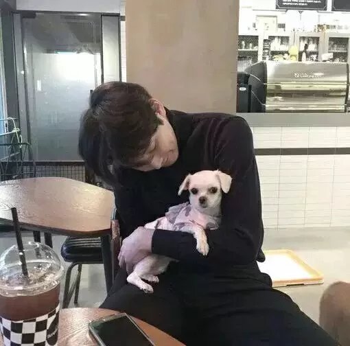 棉花一样的女孩