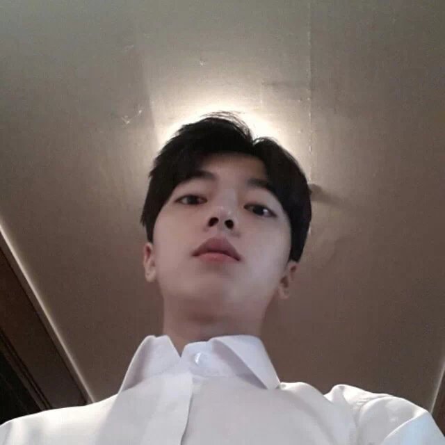 智齿233