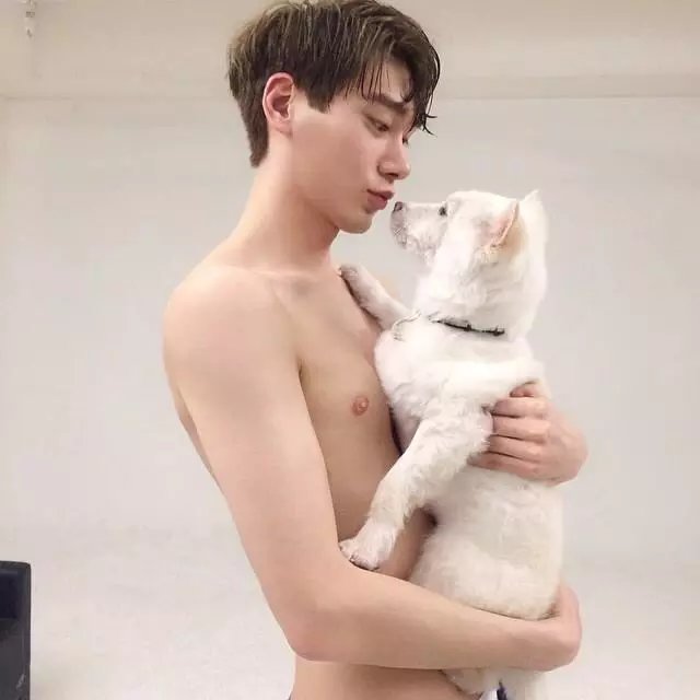 向晚如歌