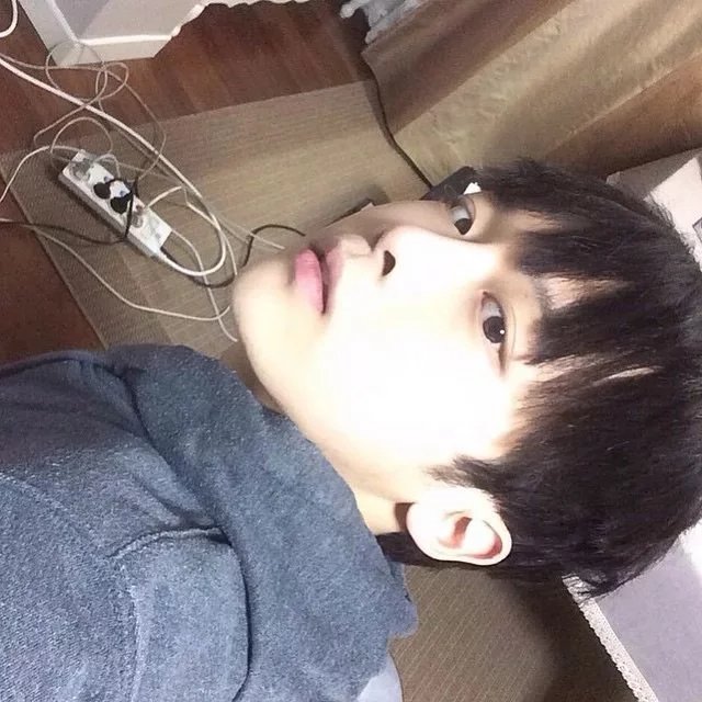 朝鲜就我能上网