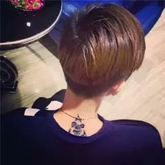飞翔的自由