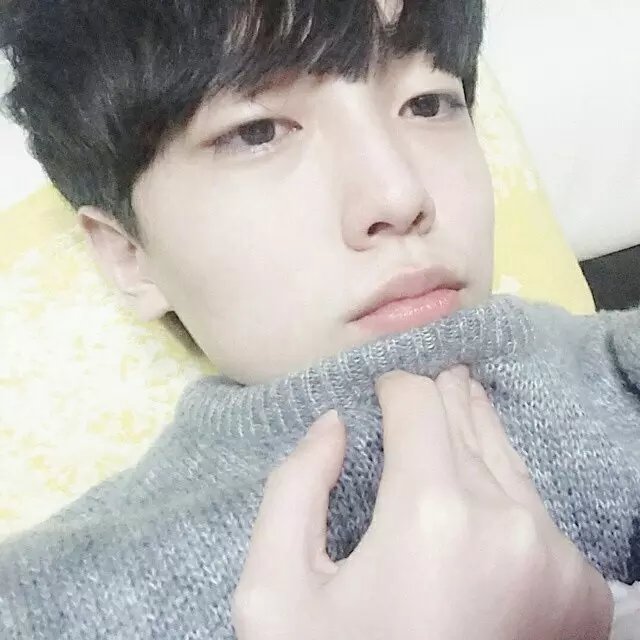 雪诺