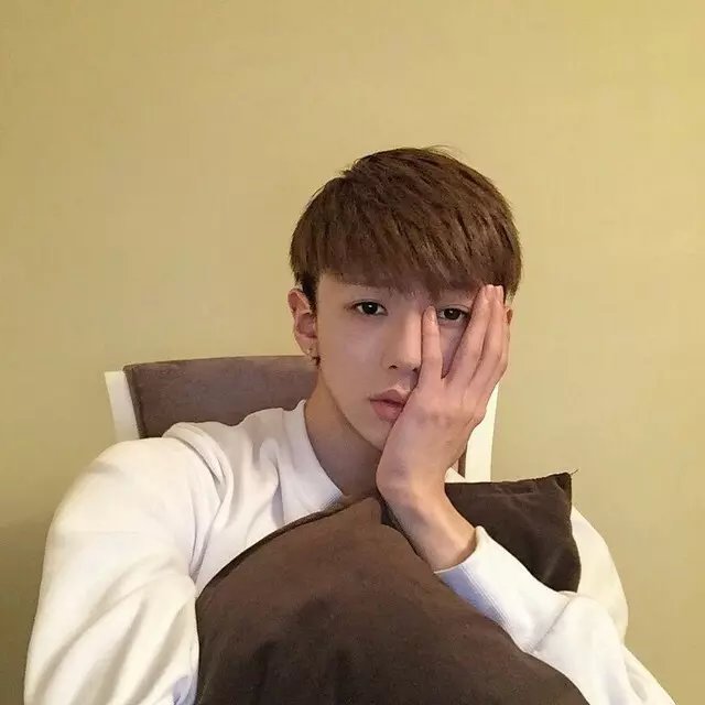 指教八宝