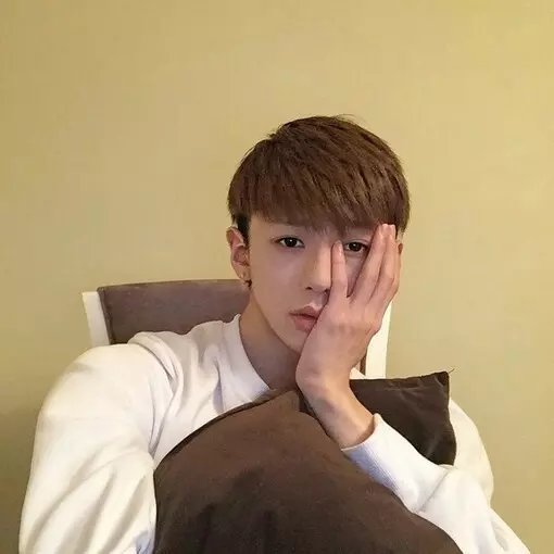 今夜有酒今朝醉